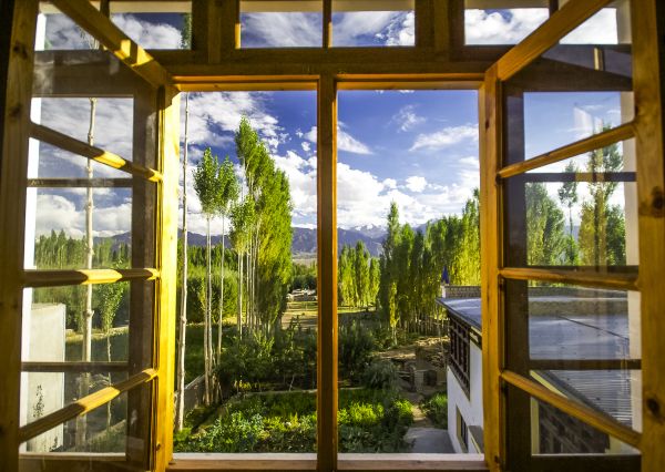 Cost of Wood Window Replacement in Bellevue
